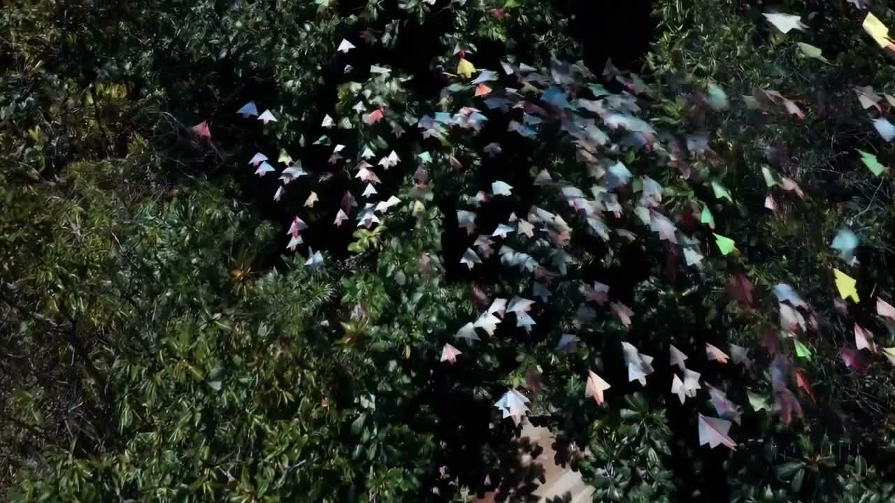 Aviones de papel en una jungla